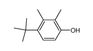4-(1,1-Dimethylethyl)-2,3-dimethylphenol Structure