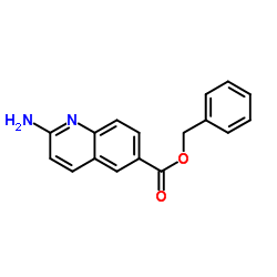 Benzyl 2-amino-6-quinolinecarboxylate structure