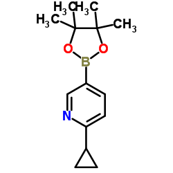 6-环丙基吡啶-3-硼酸频那醇酯结构式