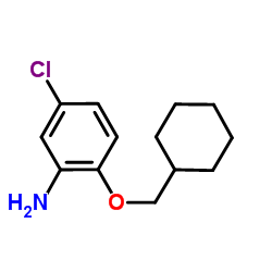 5-Chloro-2-(cyclohexylmethoxy)aniline Structure