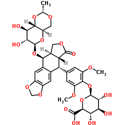 etoposide glucuronide Structure