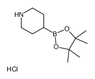Piperidine-4-boronic acid pinacol ester hydrochloride Structure