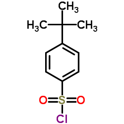 4-t-Butylbenzenesulfonyl chloride Structure