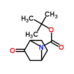 叔丁基-2-氧代-7-氮杂双环(2.2.1)庚烷-7-羧酸酯结构式