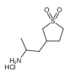 1-(1,1-dioxothiolan-3-yl)propan-2-amine,hydrochloride结构式