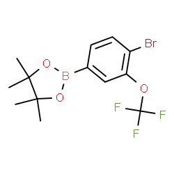 4-Bromo-3-(trifluoromethoxy)phenylboronic acid pinacol ester picture