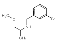 N-[(3-bromophenyl)methyl]-1-methoxypropan-2-amine Structure