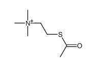 2-acetylsulfanylethyl(trimethyl)azanium Structure