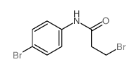 N1-(4-溴苯基)-3-溴丙酰胺图片