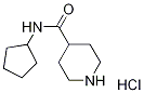N-环戊基哌啶-4-甲酰胺盐酸盐结构式