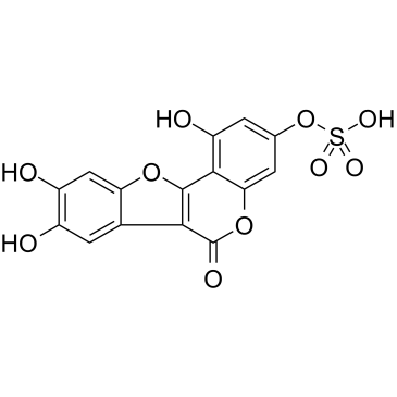Demethylwedelolactone Sulfate Structure