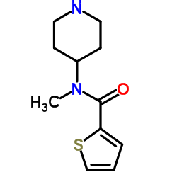Thiophene-2-carboxylic acid Methyl-piperidin-4-yl-aMide hydrochloride picture