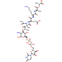 Udp-N-acetylmuramyl-ala-glu-lys-ala-lactate structure