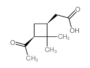 cis-DL-Pinonic acid Structure