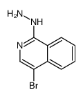 (4-溴-异喹啉-1-基)-肼结构式