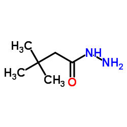 3,3-dimethylbutanohydrazide结构式