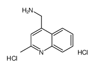 1-(2-Methyl-4-quinolinyl)methanamine dihydrochloride Structure