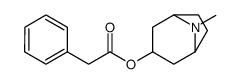 3α-苯基乙酰氧基莨菪烷图片