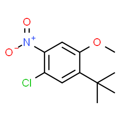 1-叔丁基-5-氯-2-甲氧基-4-硝基苯结构式