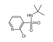 N-tert-butyl-2-chloropyridine-3-sulfonamide结构式