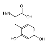 (S)-2-AMINO-3-(2,4-DIHYDROXYPHENYL)PROPANOIC ACID Structure