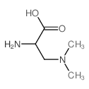 2-amino-3-(dimethylamino)propanoic acid Structure