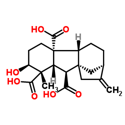 赤霉素 A13结构式