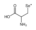 硒氨酸结构式