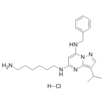 BS-181 hydrochloride Structure