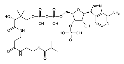 isobutyryl-CoA结构式