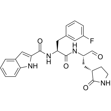 MPro Inhibitor 11b Structure