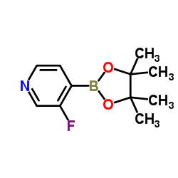 3-Fluoro-4-pyridineboronic acid pinacol ester Structure