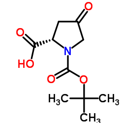 N-Boc-4-氧代-L-脯氨酸结构式