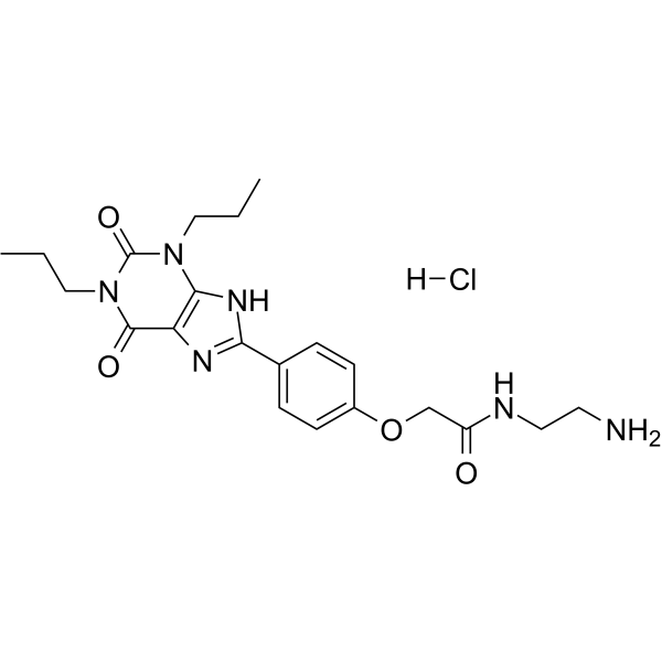 Acetamide, N-(2-aminoethyl)-2-[4-(2,3,6,9-tetrahydro-2,6-dioxo-1,3-dipropyl-1H-purin-8-yl)phenoxy]-, hydrochloride (1:1) Structure