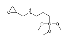 N-(oxiran-2-ylmethyl)-3-trimethoxysilylpropan-1-amine结构式