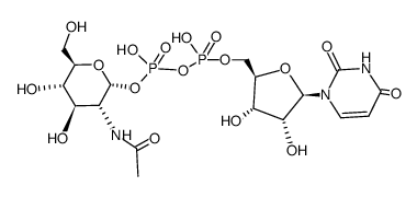尿苷5'-二磷酸-N-乙酰氨基葡萄糖13C,d3图片