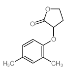 2(3H)-Furanone,3-(2,4-dimethylphenoxy)dihydro-结构式