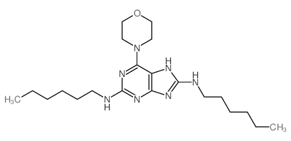 N,N-dihexyl-6-morpholin-4-yl-7H-purine-2,8-diamine结构式