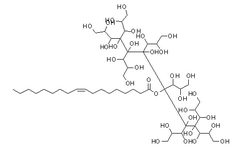 polyglyceryl-10 oleate structure