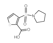 3-(Pyrrolidin-1-ylsulfonyl)thiophene-2-carboxylic acid Structure