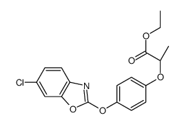 (2S)-(+)-2-[4-(6-氯苯并恶唑-2-基氧基)苯氧基]丙酸乙酯结构式