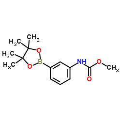 Methyl (3-(4,4,5,5-tetramethyl-1,3,2-dioxaborolan-2-yl)phenyl)carbamate Structure