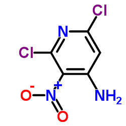 4-氨基-2,6-二氯-3-硝基吡啶嘧啶结构式