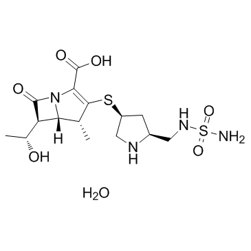Doripenem hydrate structure