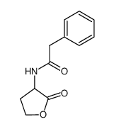 α-Phenylacetamido-γ-Butyrolactone Structure