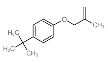 1-(2-甲基-2-丙烯氧基)-4-叔丁基苯结构式