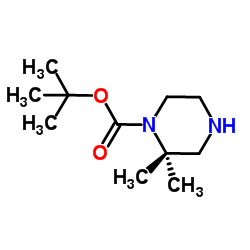 1-BOC-2,2-二甲基哌嗪结构式
