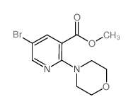 METHYL 5-BROMO-2-MORPHOLINONICOTINATE Structure