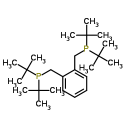 1,2-双(二叔丁基膦甲基)苯结构式