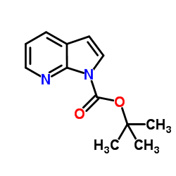 1H-吡咯并[2,3-b]吡啶-1-羧酸叔丁酯结构式